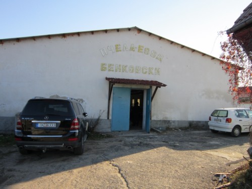 Psella Eood gallery image 2