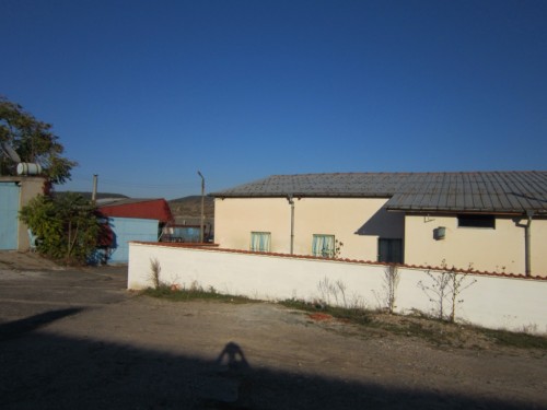 Psella Eood gallery image 18